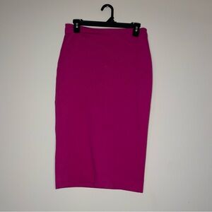 Express Pink Back Slit Zip Stitched Design Pencil Skirt 6 NWT Elegant